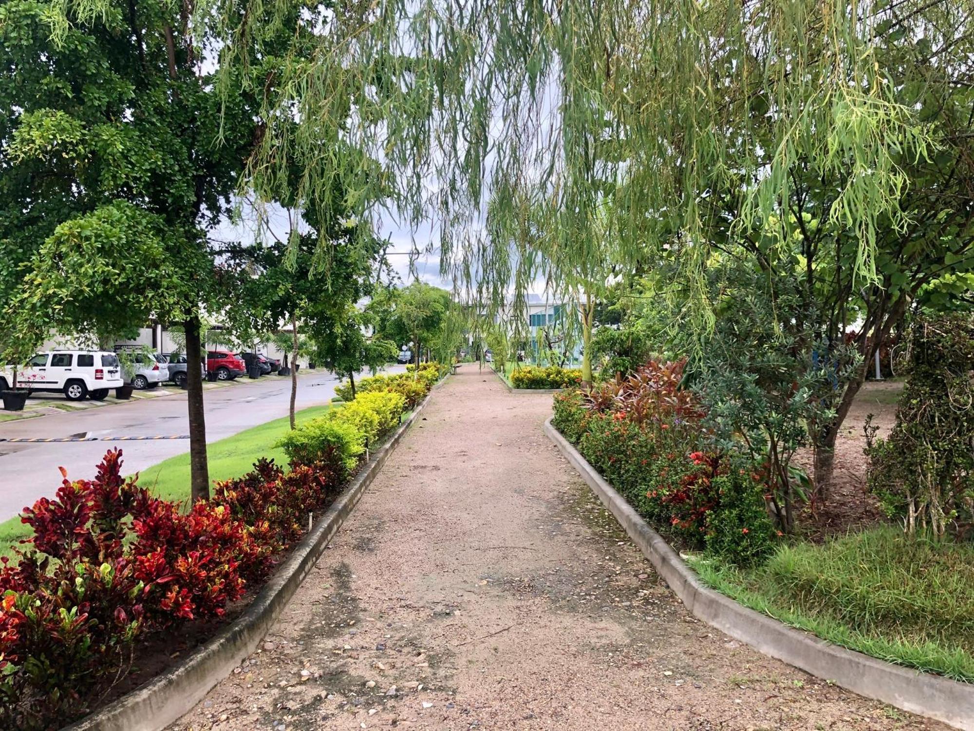 Casa Residencial La Primavera 巴亞爾塔港 外观 照片