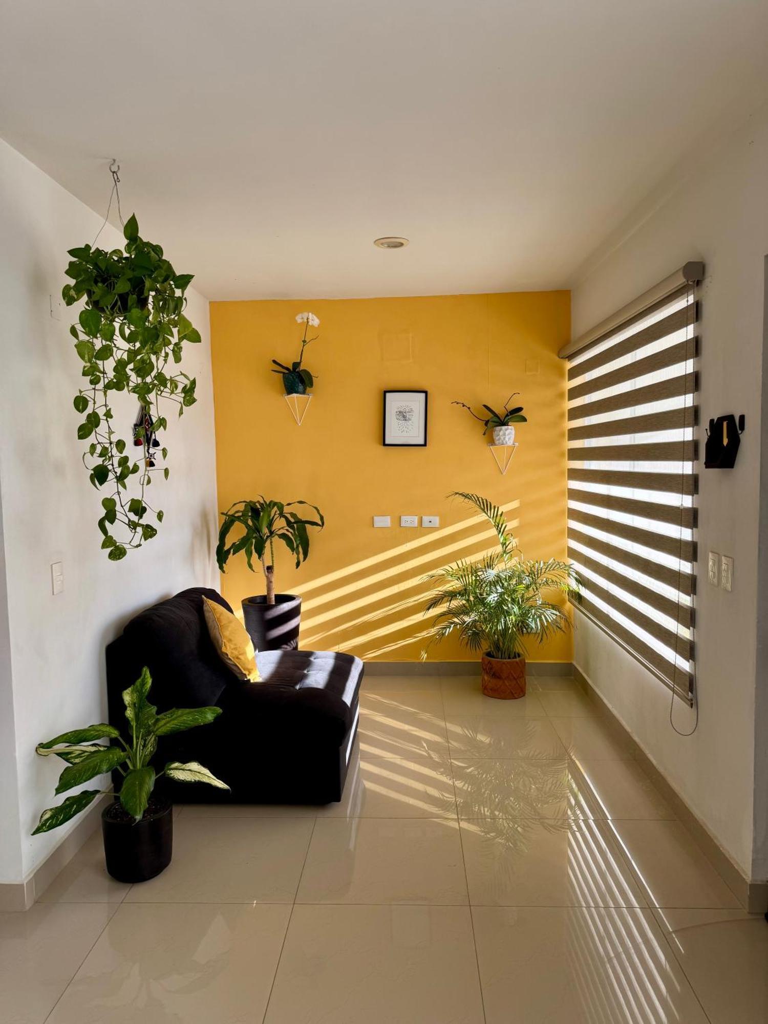 Casa Residencial La Primavera 巴亞爾塔港 外观 照片